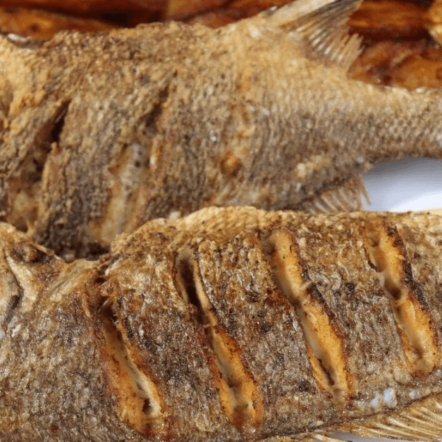 FISH