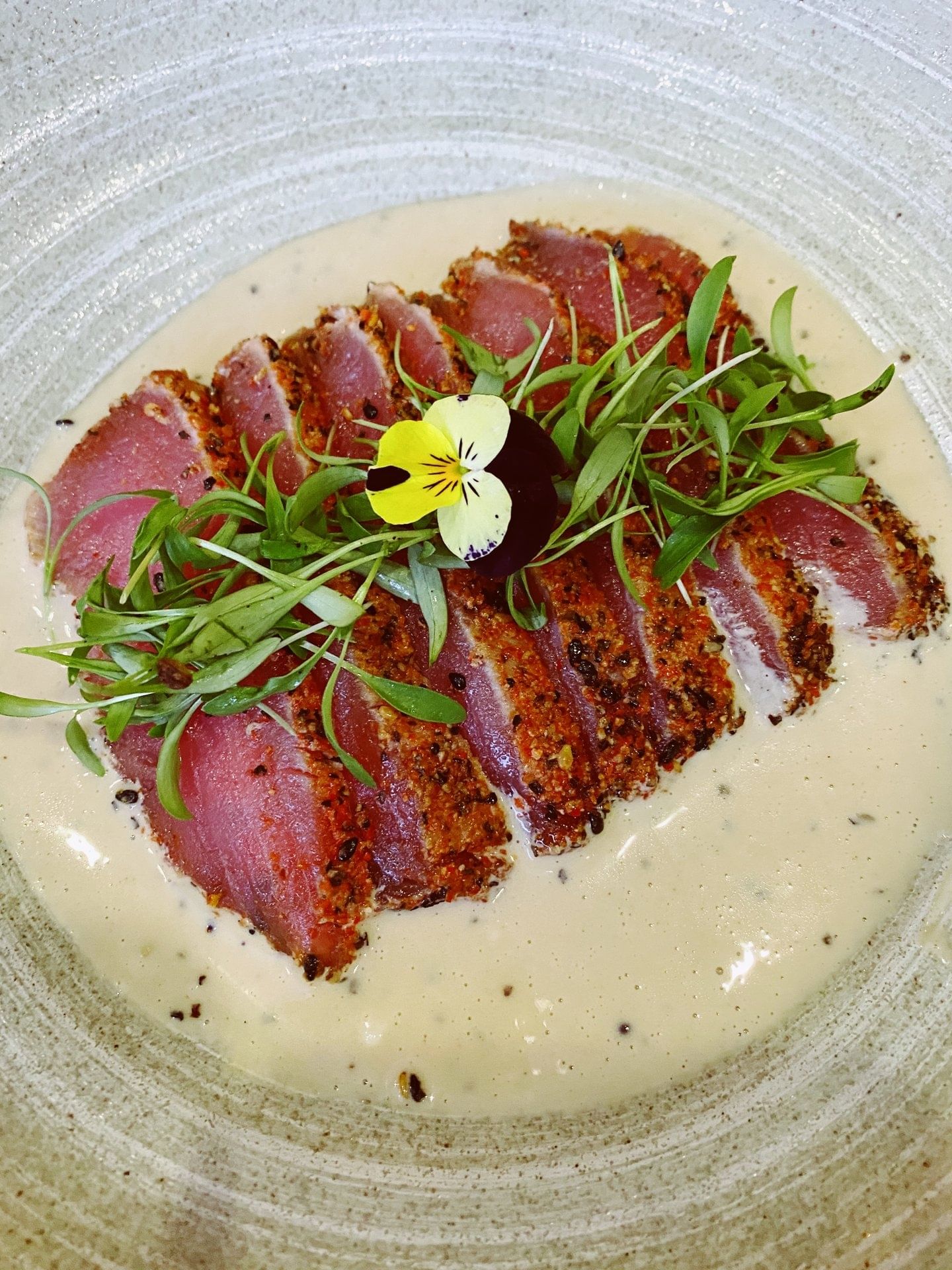 Kurimi Tuna