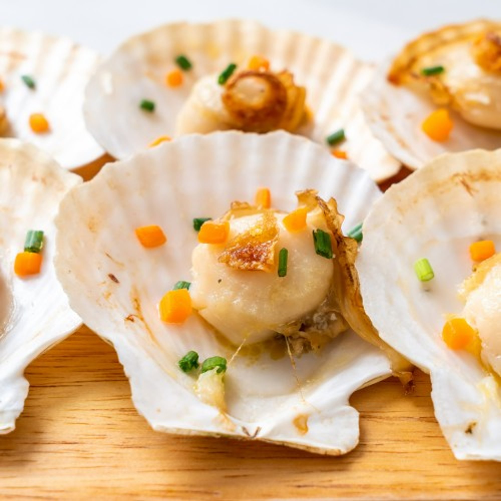Scallops