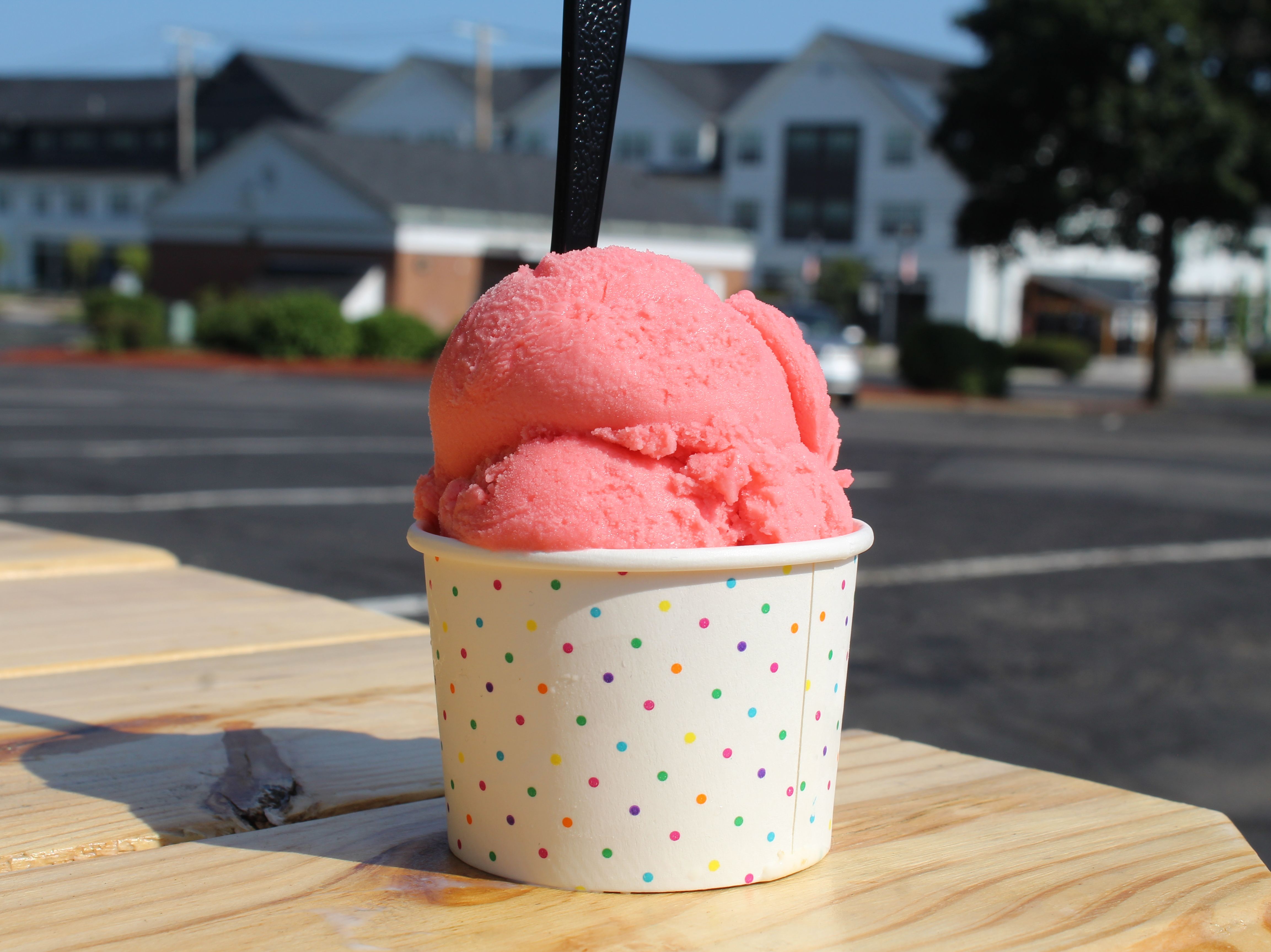 Watermelon Sherbet