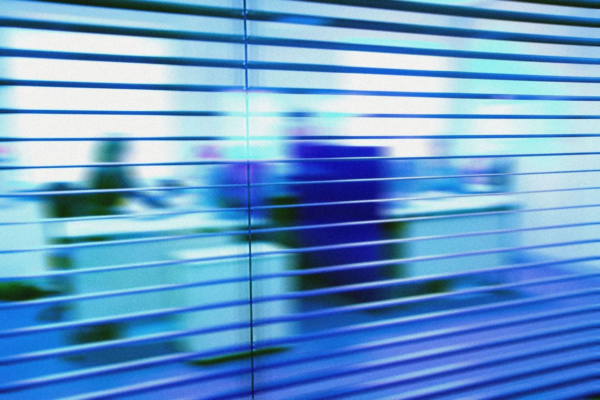 Window Blinds