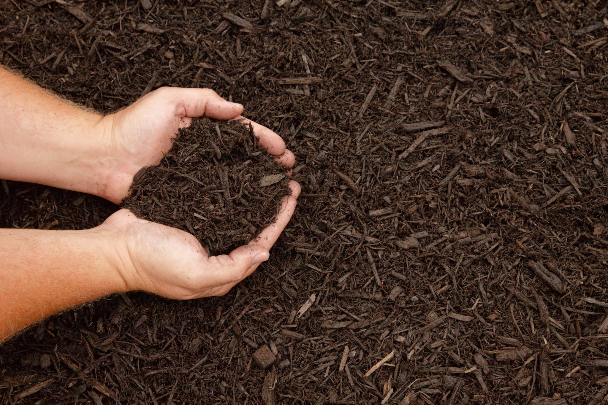 Home Pro Landscaping Ltd
