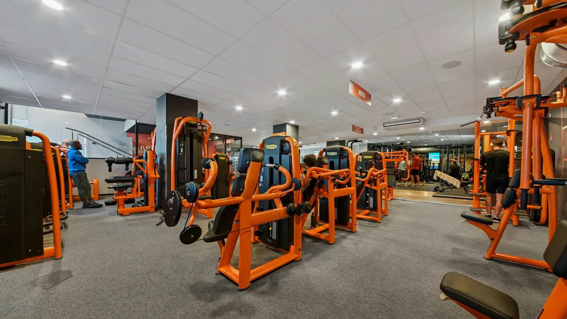 Miniature de la galerie