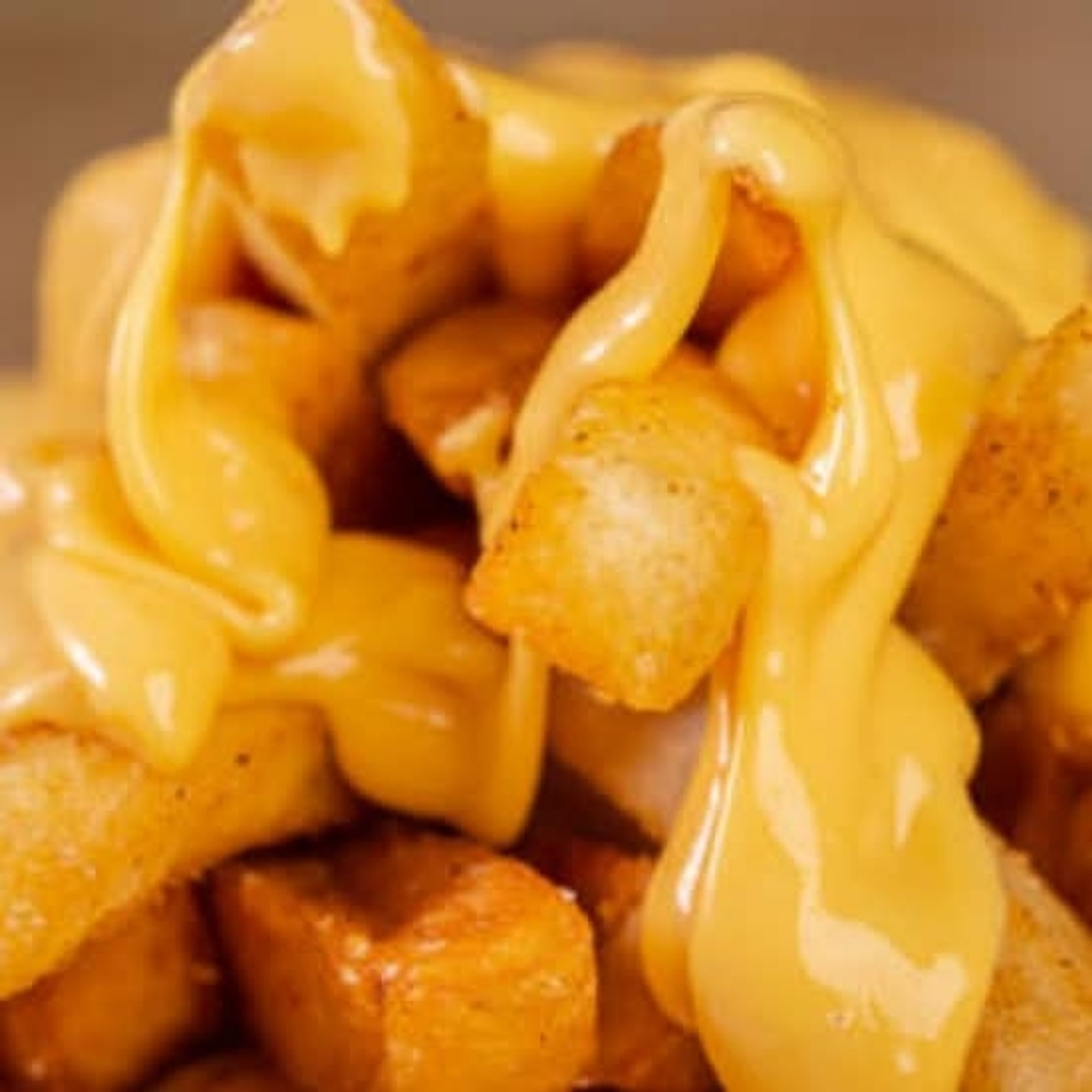 Cheezy Fries