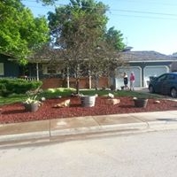 Montana Tree Care Image