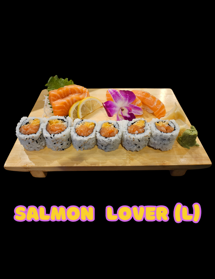 Salmon Lunch Set