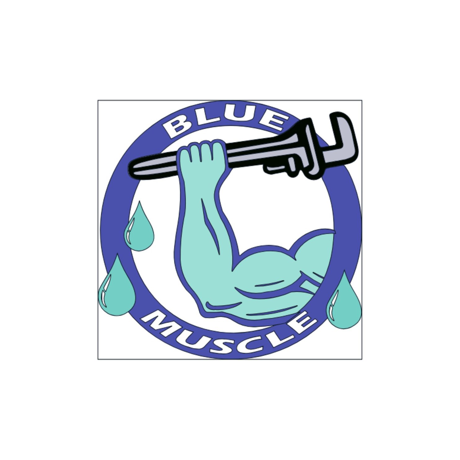 Blue Muscle Plumbing and Rooter Service