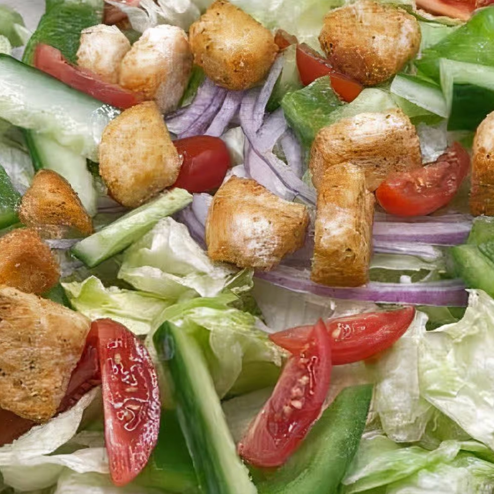 Garden Salad - LG