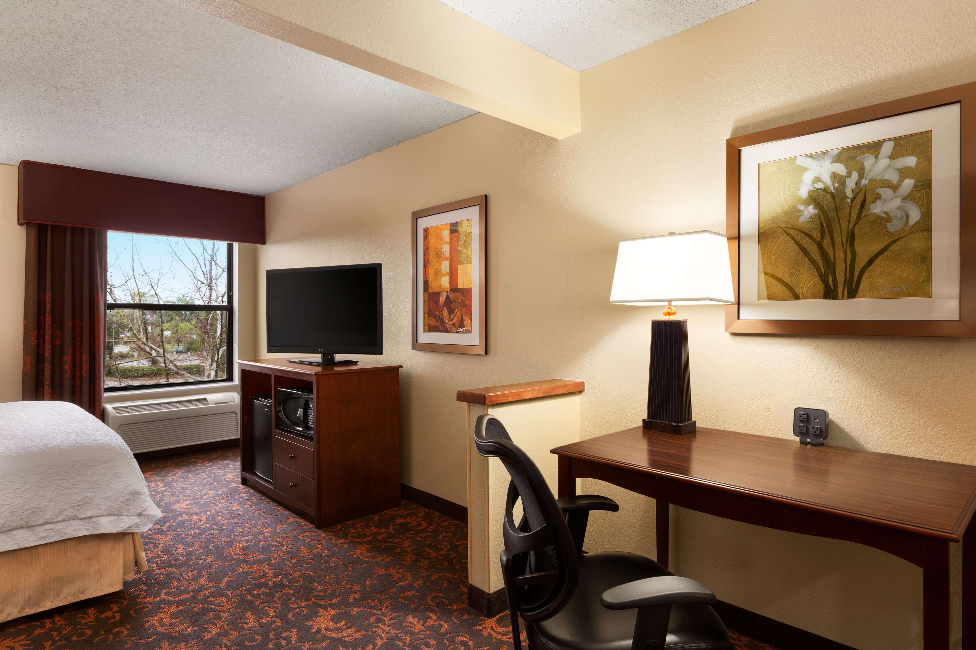 Hampton Inn Houston-Willowbrook Mall Photo