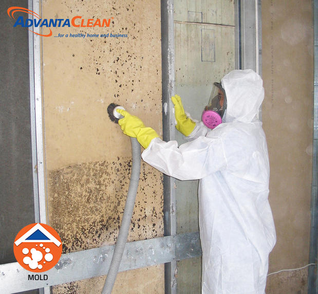 Images AdvantaClean of East Central New Jersey