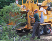 D & E Tree Company Inc. Photo