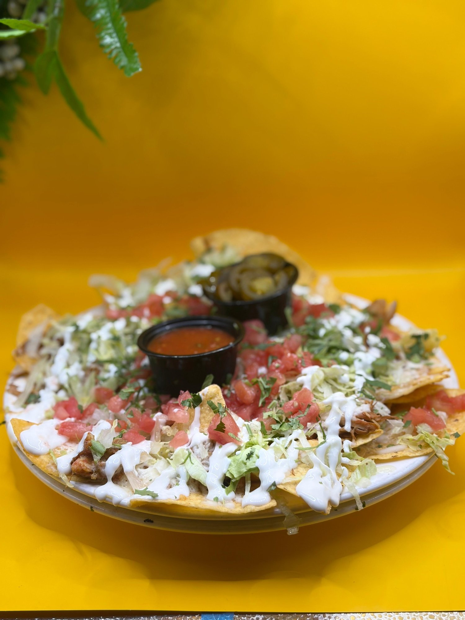 NACHO PLATTER