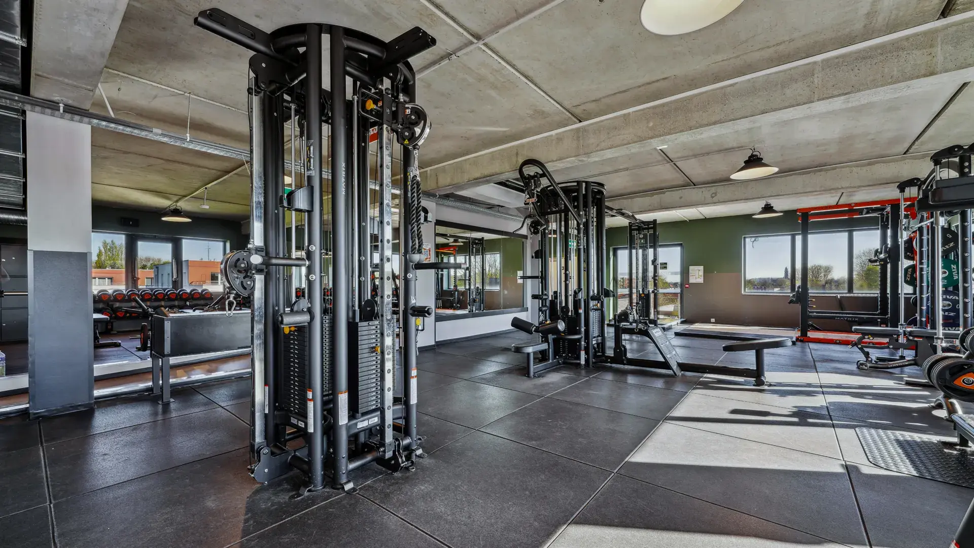 Miniature de la galerie