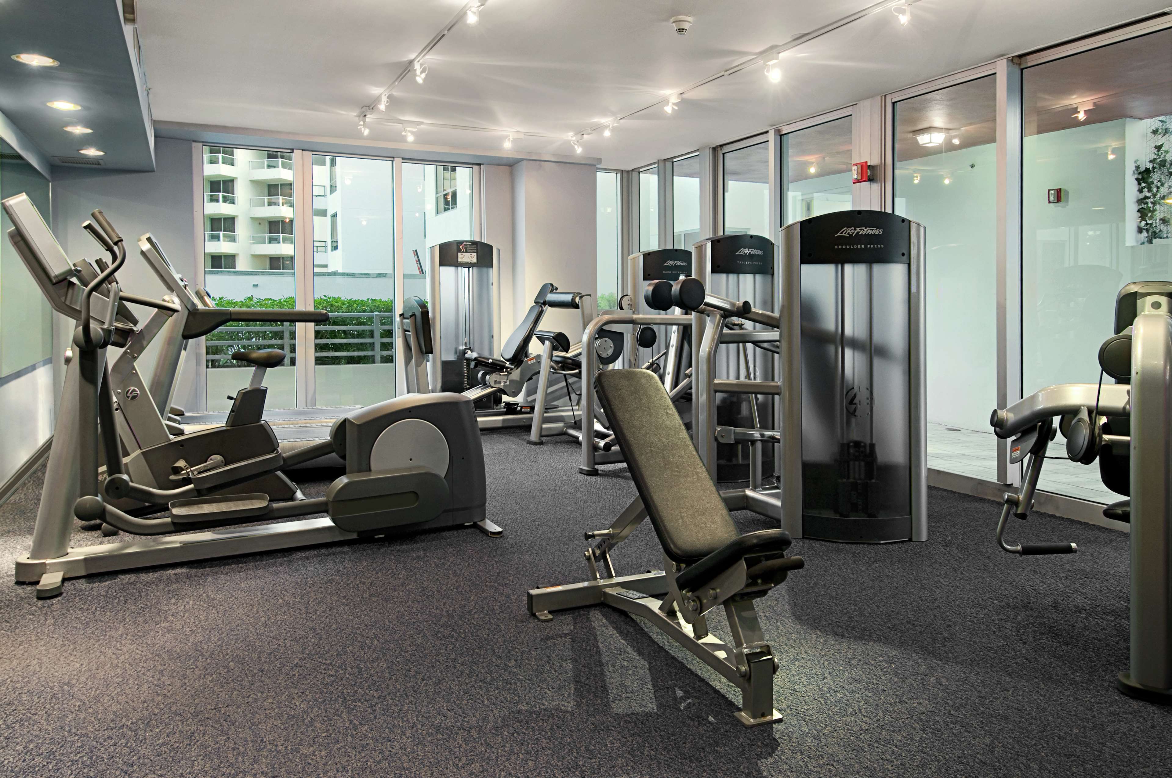 Health club  fitness center  gym