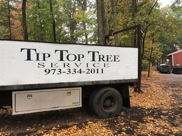 Images Tip Top Tree Service
