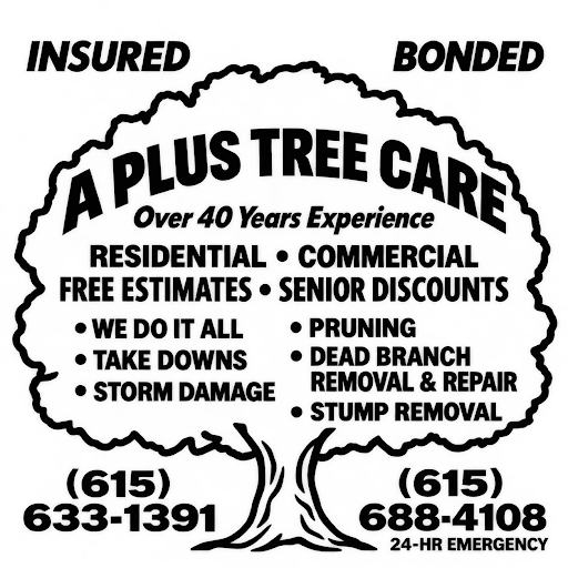A Plus Tree Care
