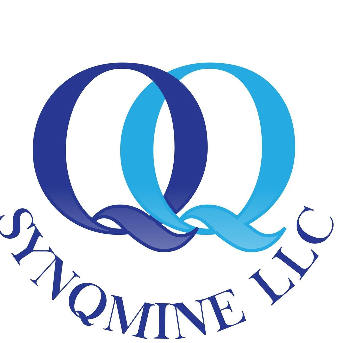SYNQMINE Business Intelligence & Outsource CFO Services Photo