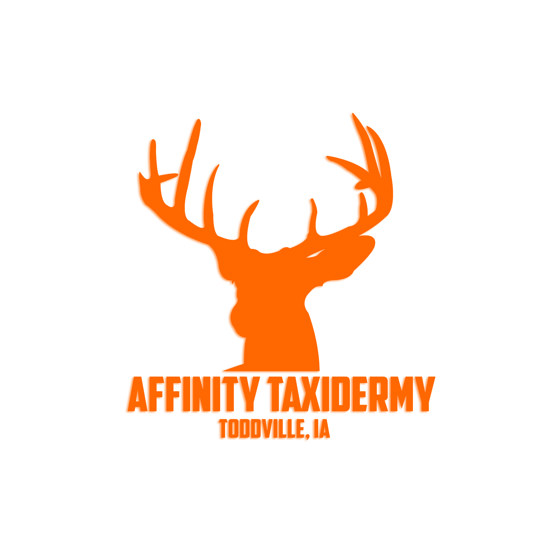 Affinity Taxidermy Logo