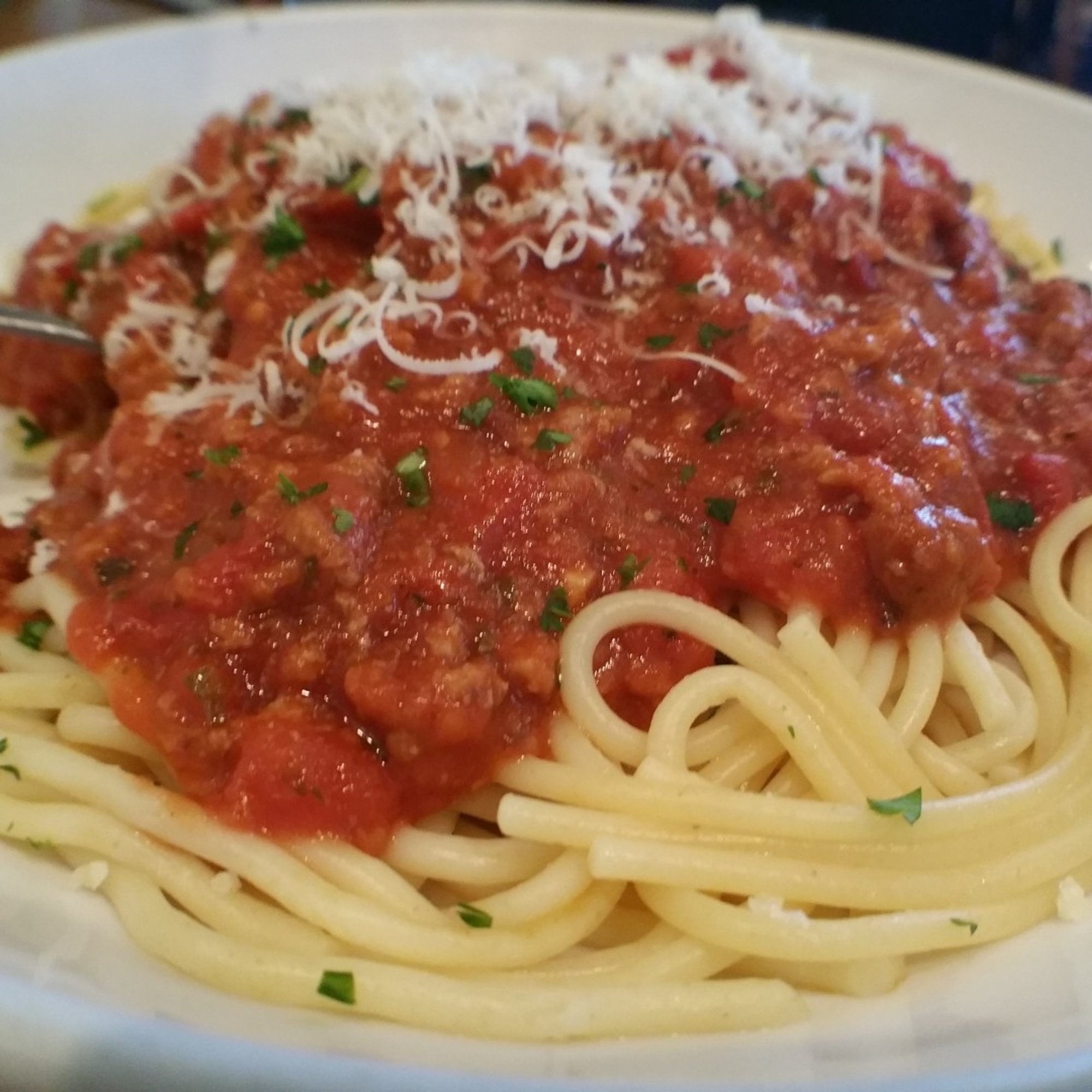Spaghetti with Meat Sauce