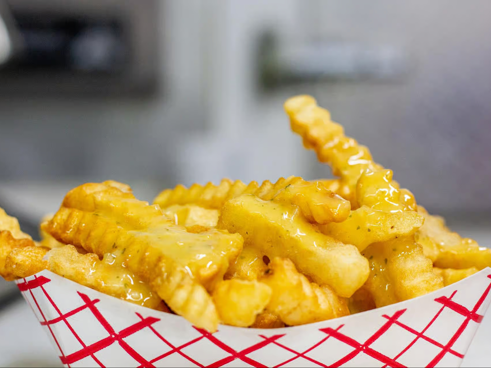 Garlic Fries