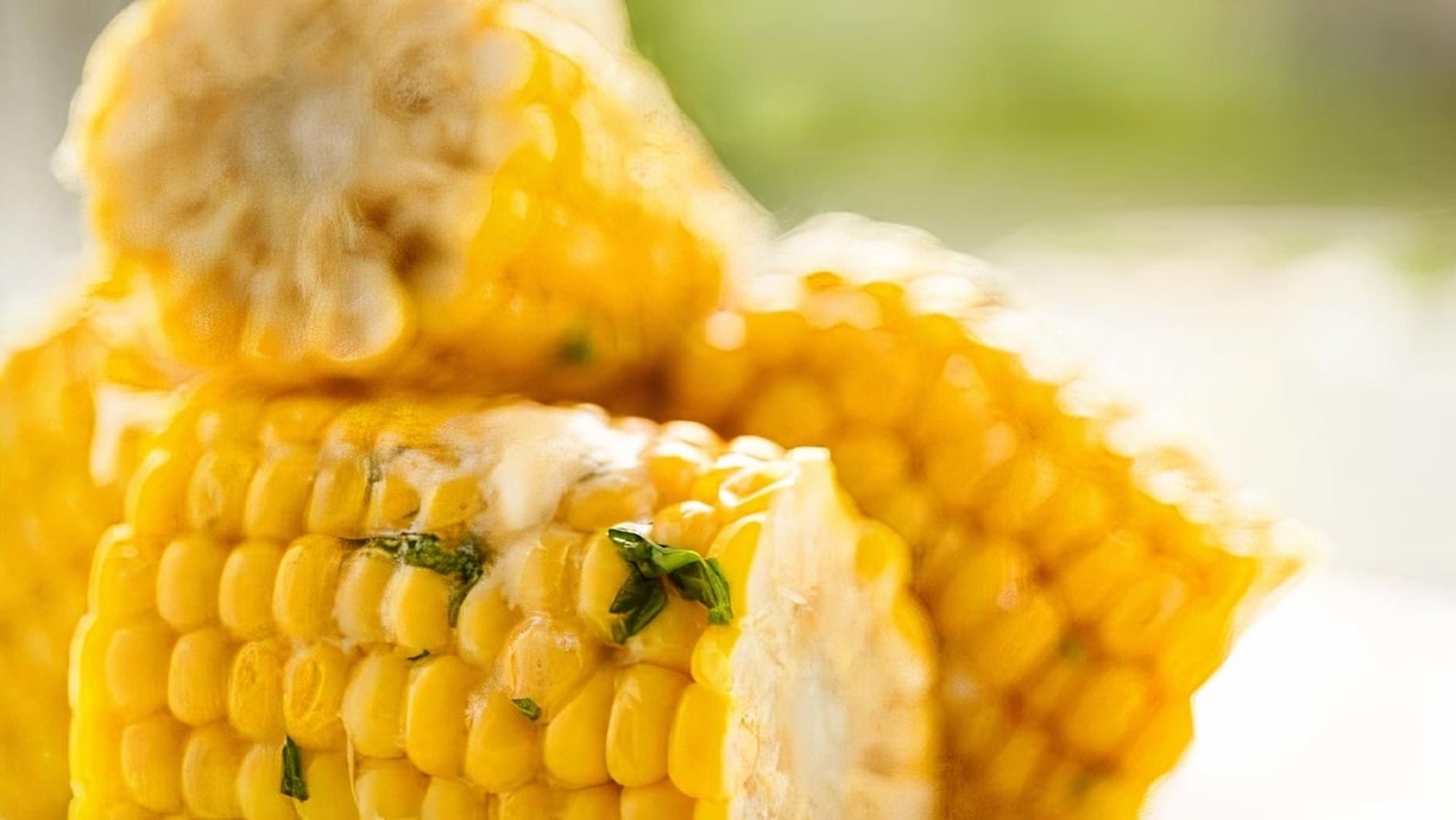 Boiled Corn