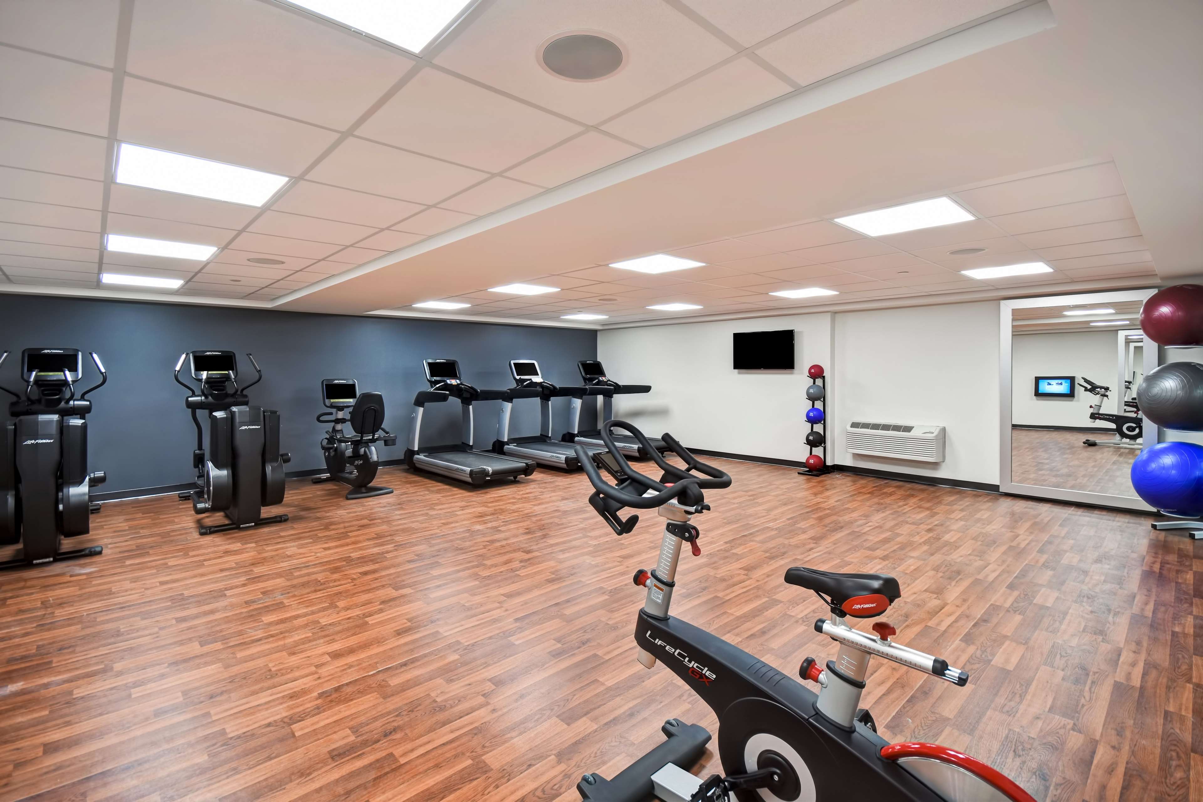 Health club  fitness center  gym