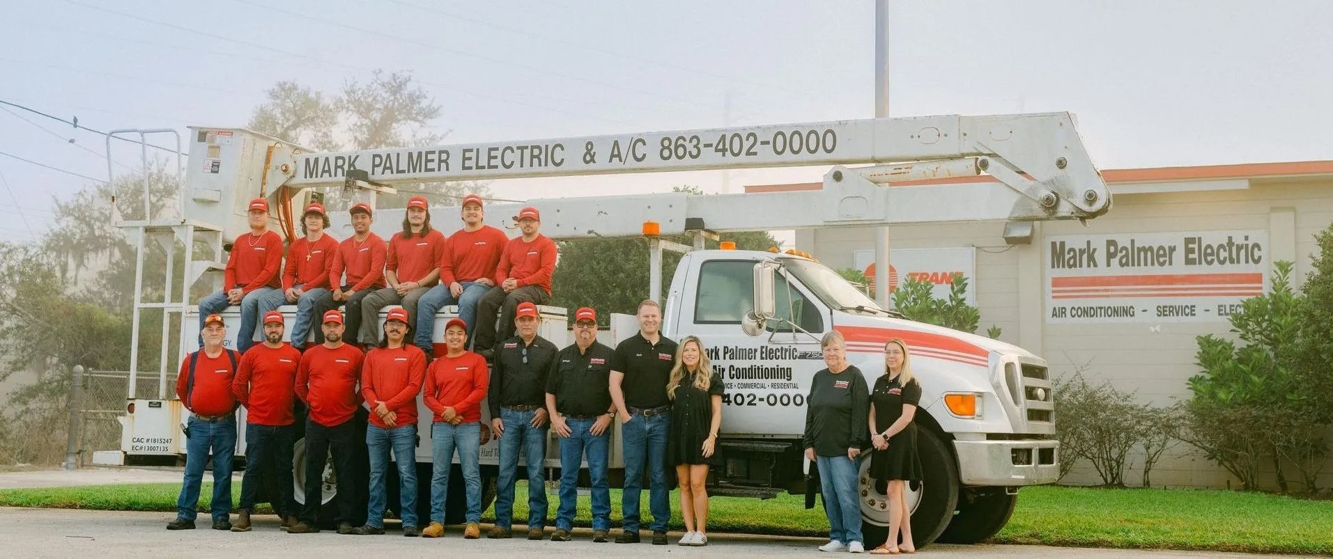 Mark Palmer Electric Image