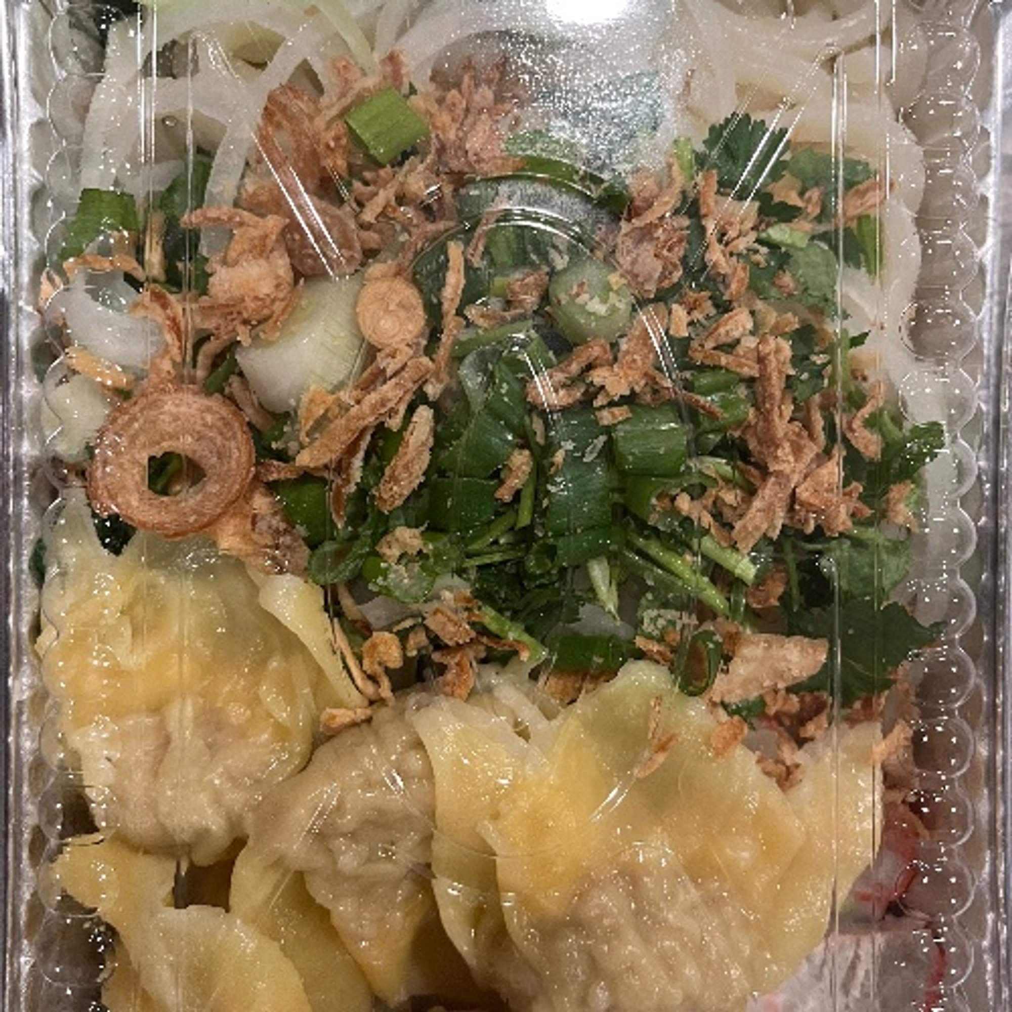 Udon Wonton Noodle Soup