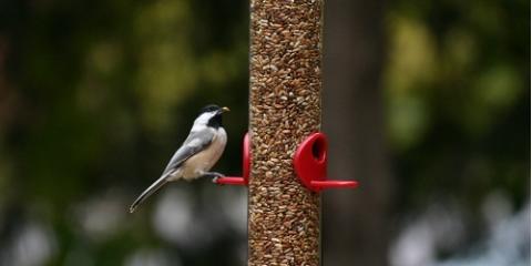 Wild Bird Habitat Store Photo