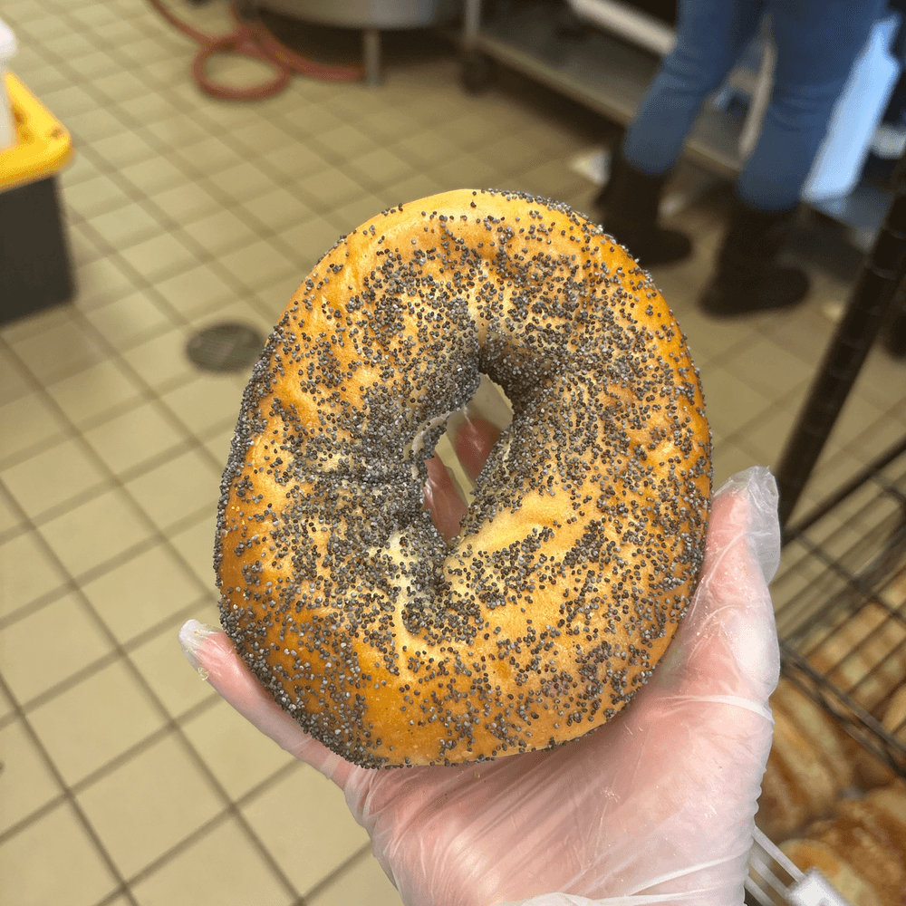 Poppy Bagel