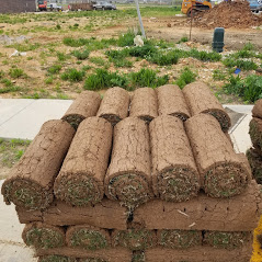 4-State Sod Photo