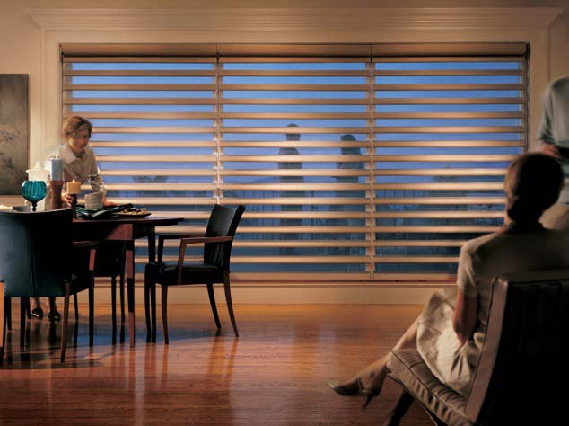 Hunter Douglas Shades