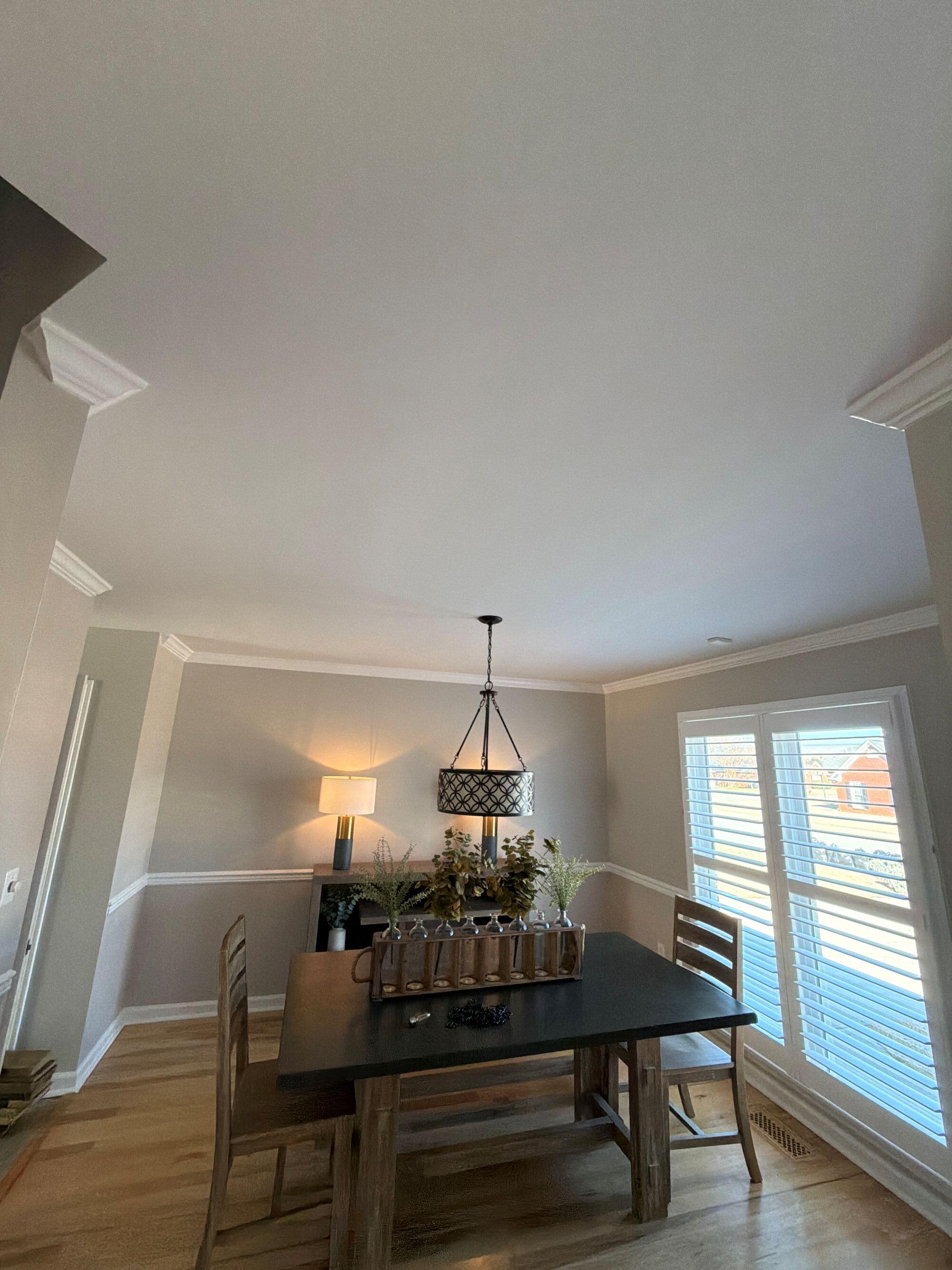 Blue Jay Painting Image