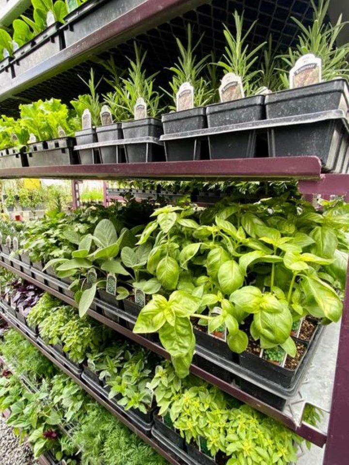Deep Creek Garden Center Image