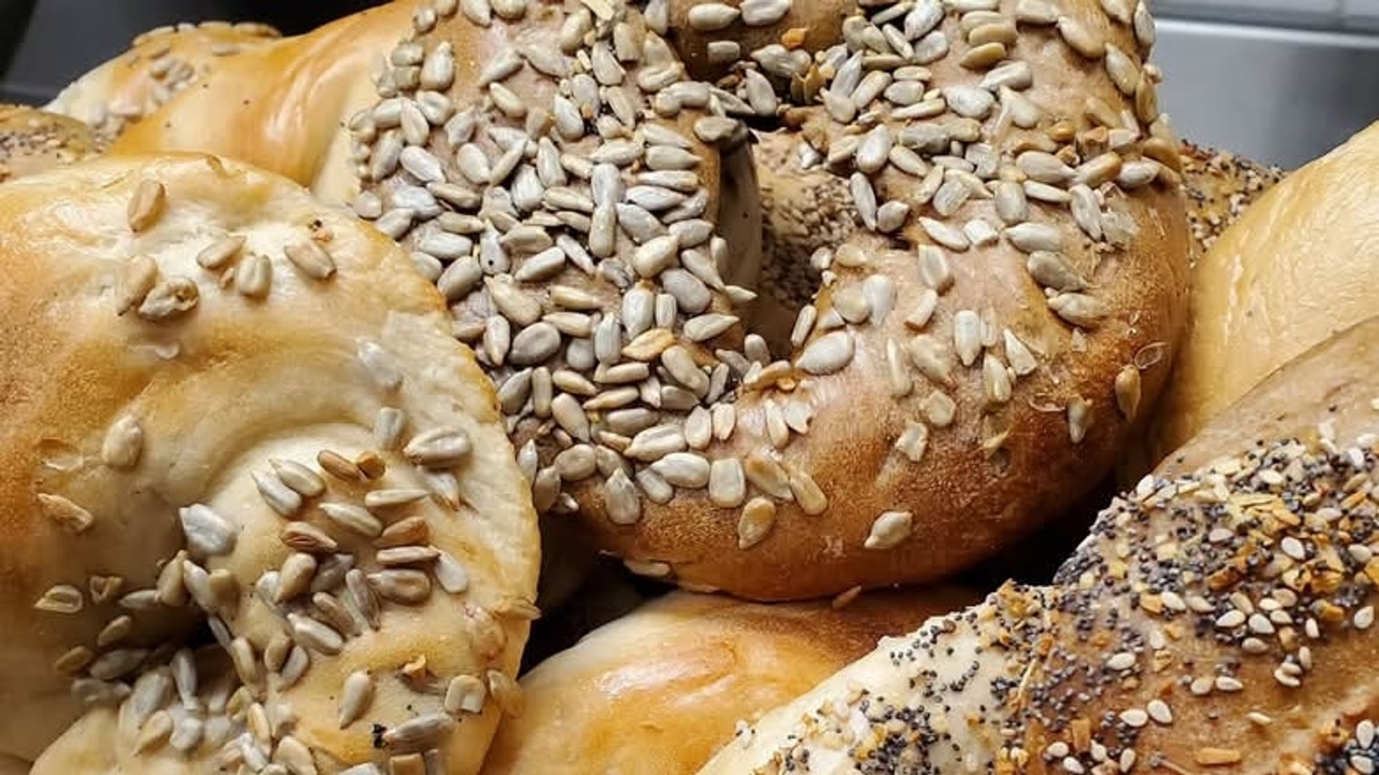 Bagel Flat