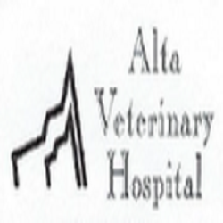 Alta Veterinary Hospital Photo