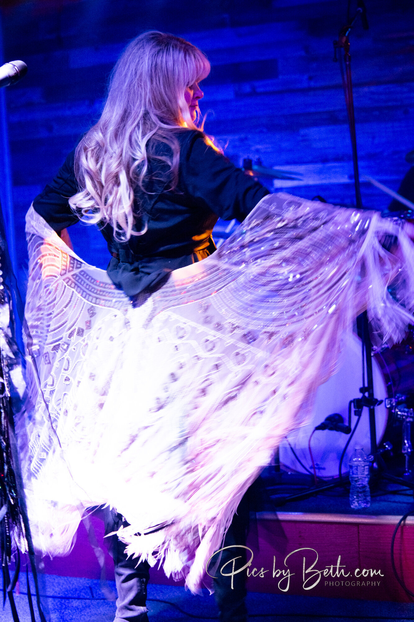 Stevie Nicks Tribute Band Image