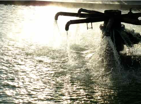 Franklin Hot Springs Logo