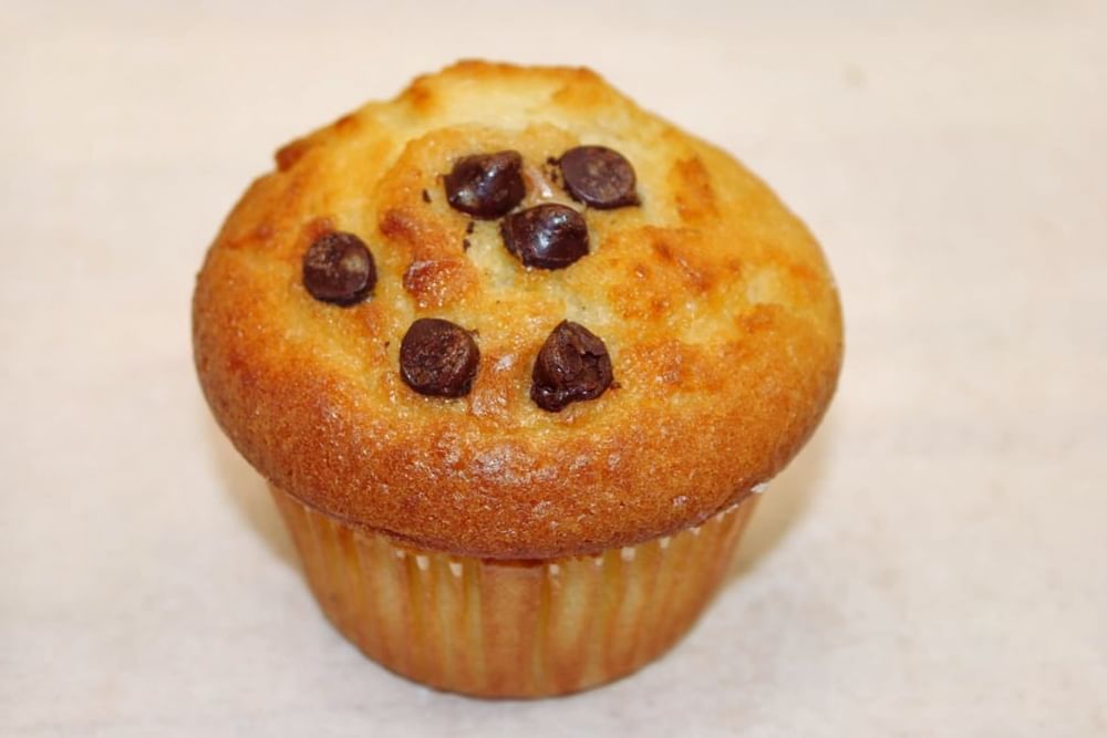 Chocolate Chip Muffin