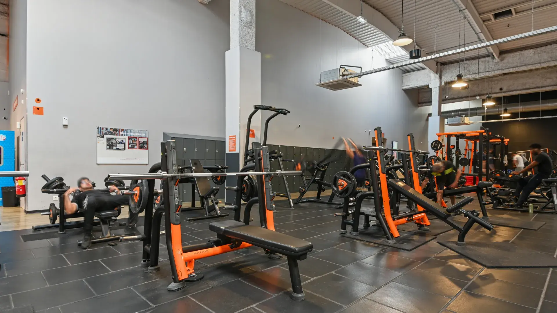 Miniature de la galerie