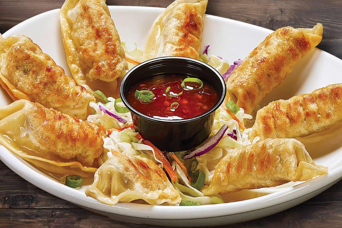 FRIED POTSTICKERS