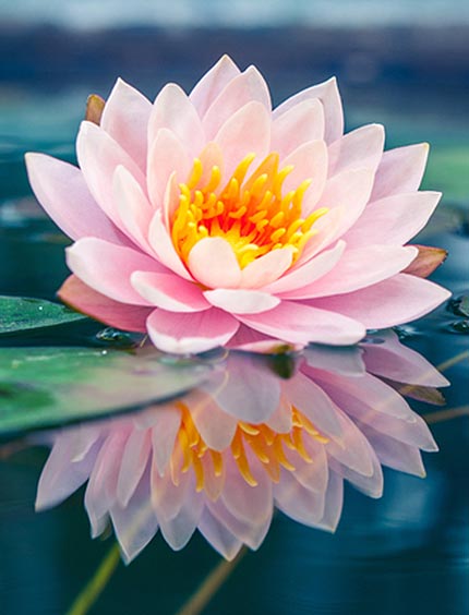 Intuitive Life Coaching