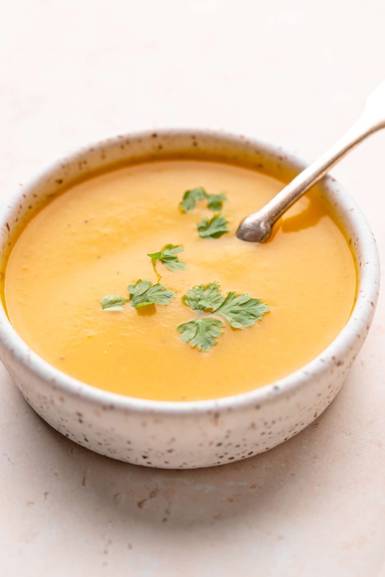 Soup of the day