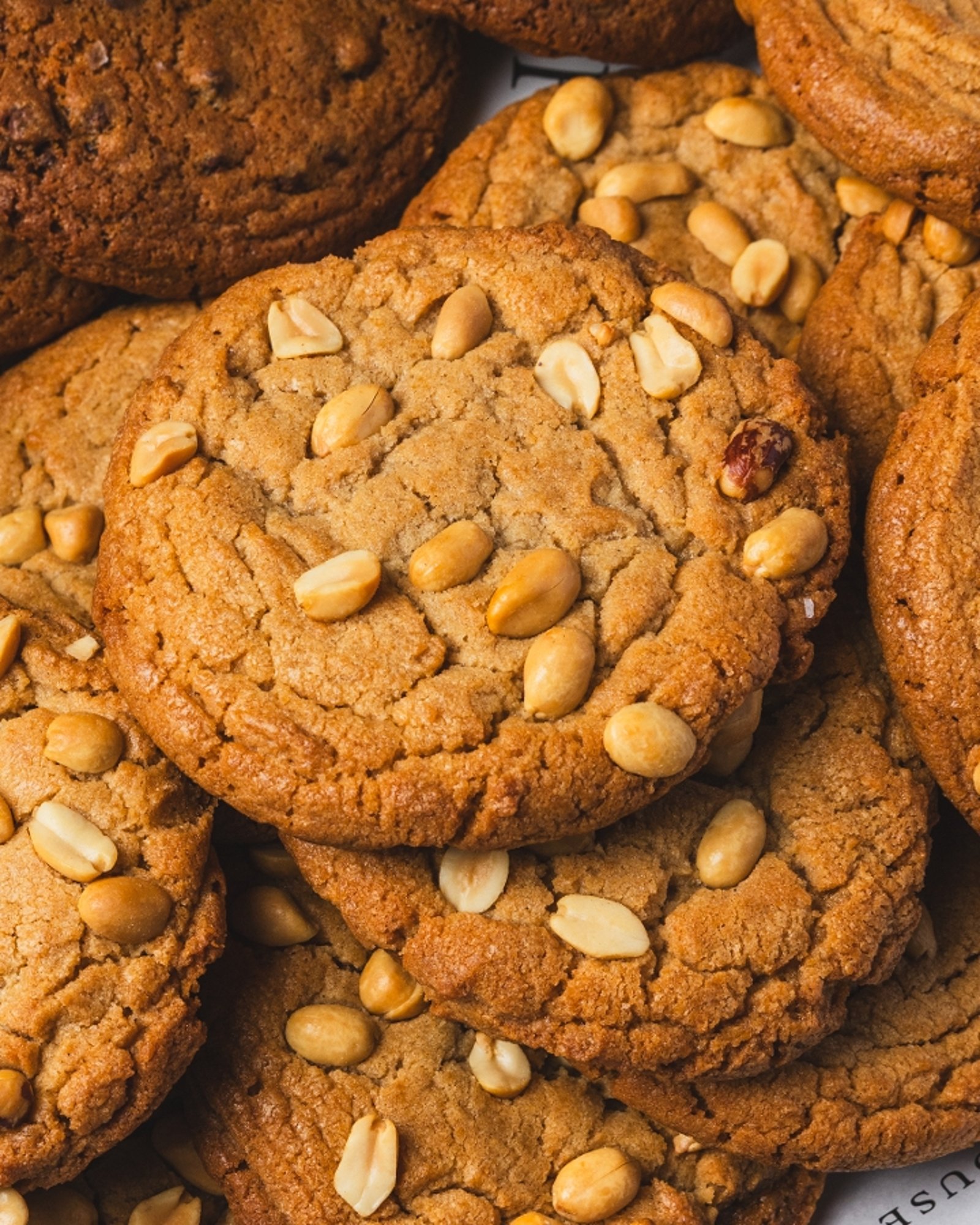 Peanut Butter Cookie