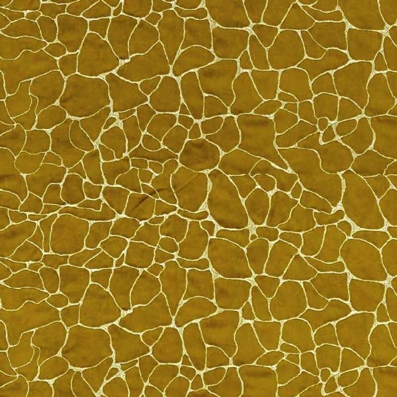 Beautiful Windows Elgin Image