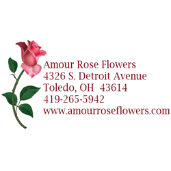 Amour Rose Flowers