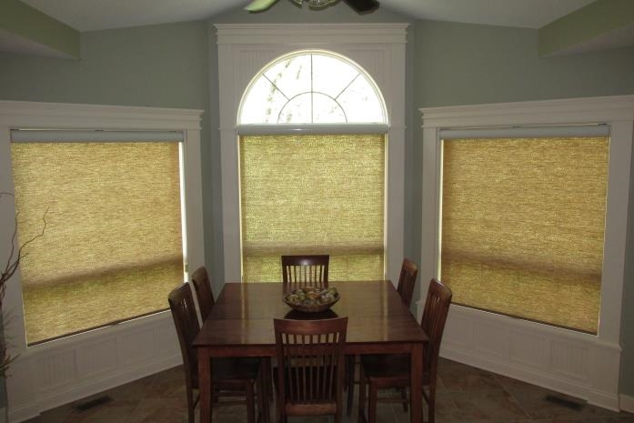 Decorative Roller Shades