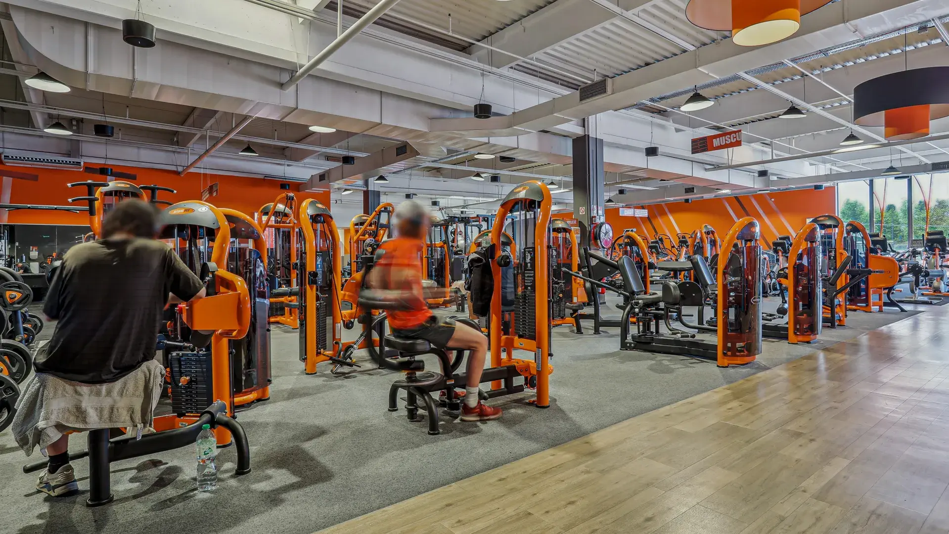 Miniature de la galerie