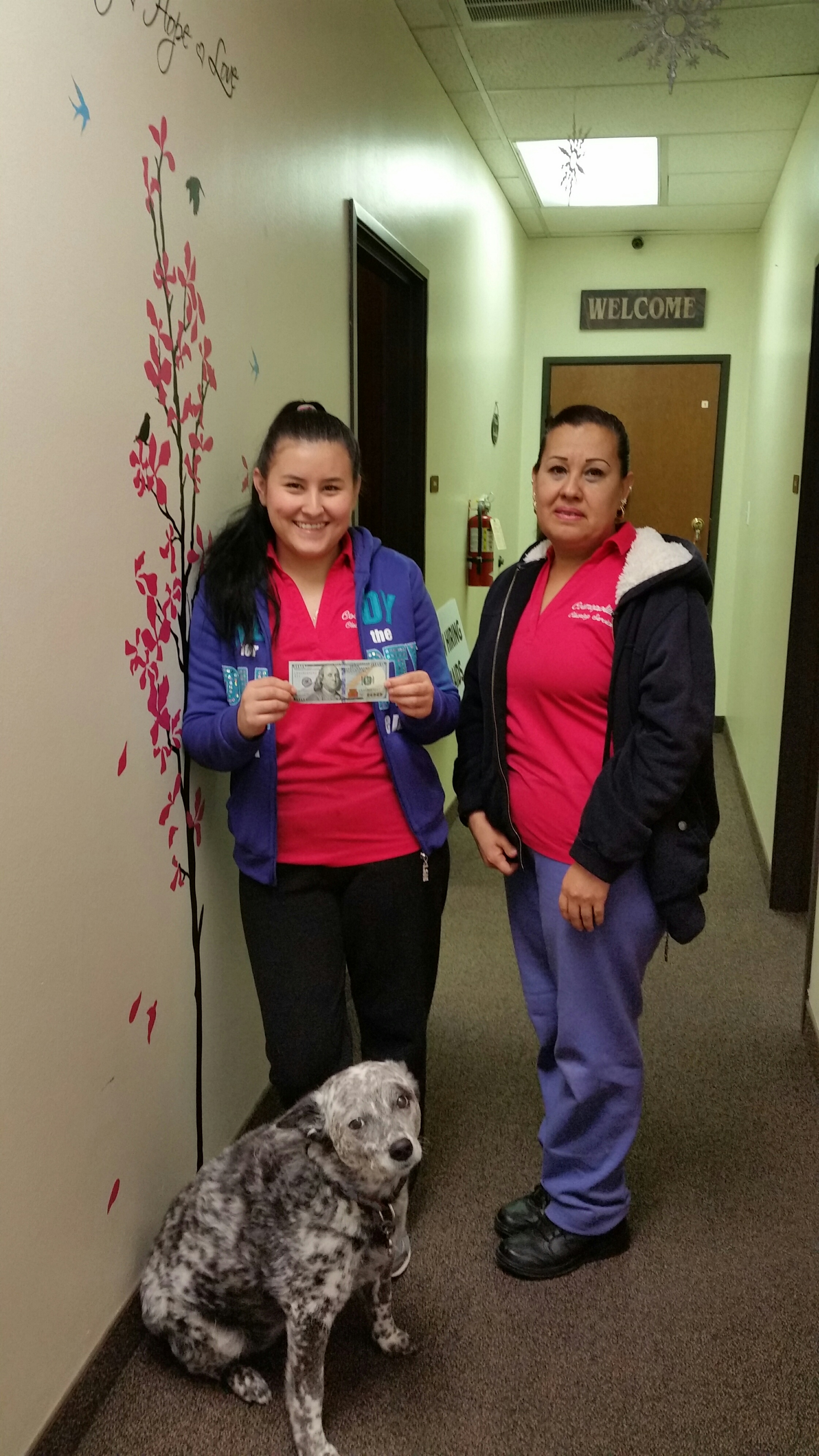 Cosmopolitan Maid Service Logo