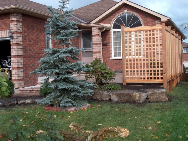 Images DMC Landscaping Ltd